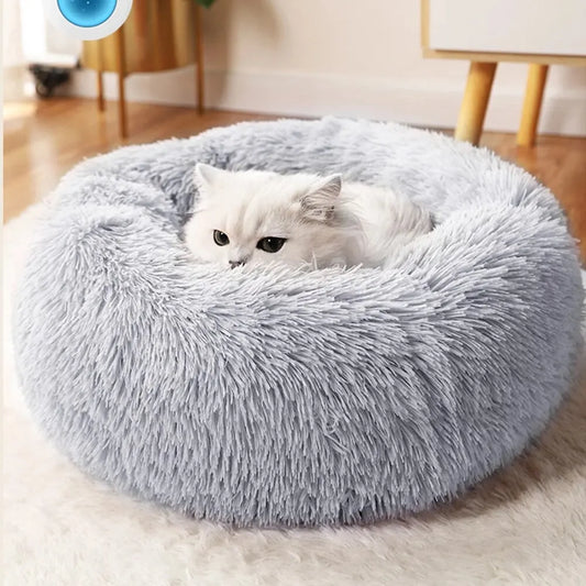 Super Cat Bed 